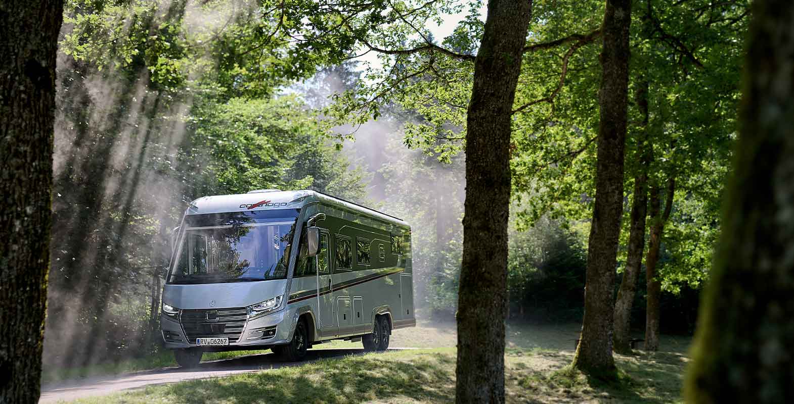 Ein silbernes Wohnmobil fährt einen sonnenbeschienenen, von Bäumen gesäumten Weg in einem üppig grünen Wald entlang, das Sonnenlicht fällt durch die Äste und Nebel liegt in der Luft.